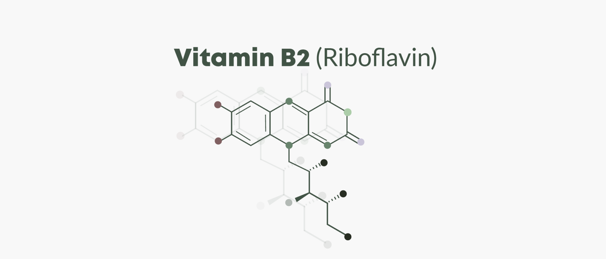 What Does Vitamin B1 Do to Your Body 7D VARIETY
