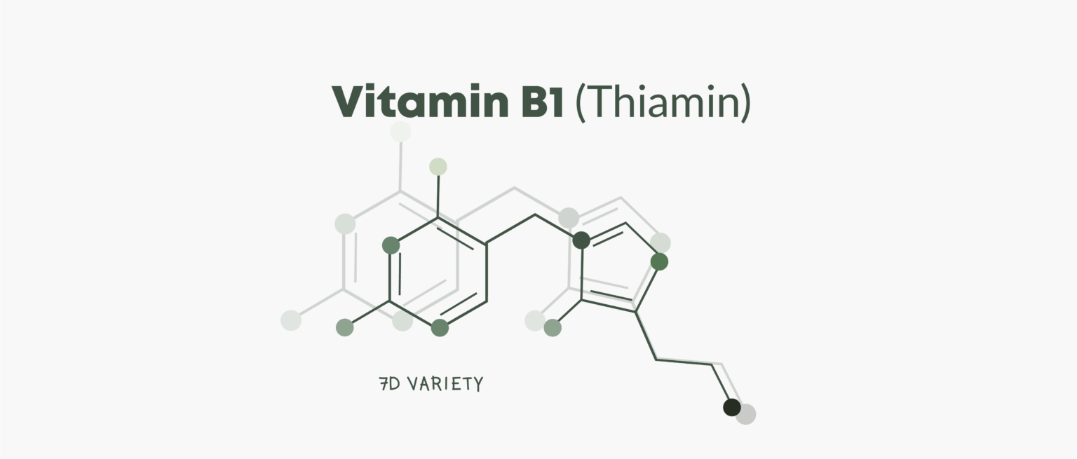 What does Vitamin B2 do to your body 7D VARIETY