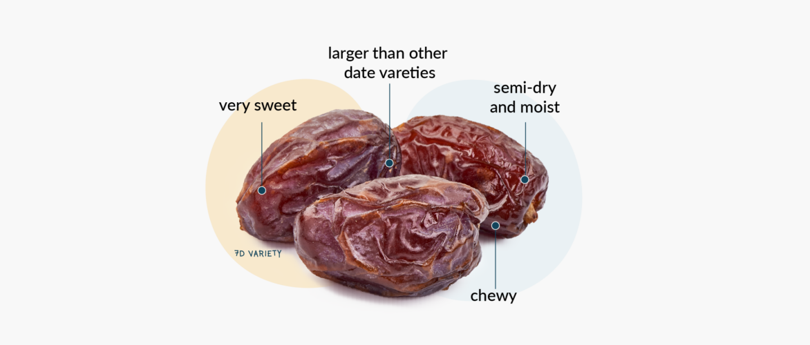 Dried Medjool dates, a date fruit variety, and its characteristics