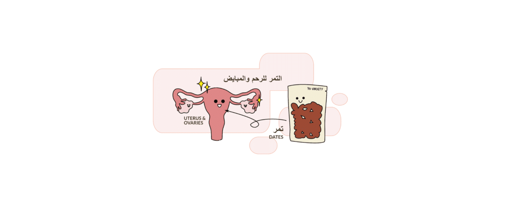 فوائد التمر للرحم والمبايض