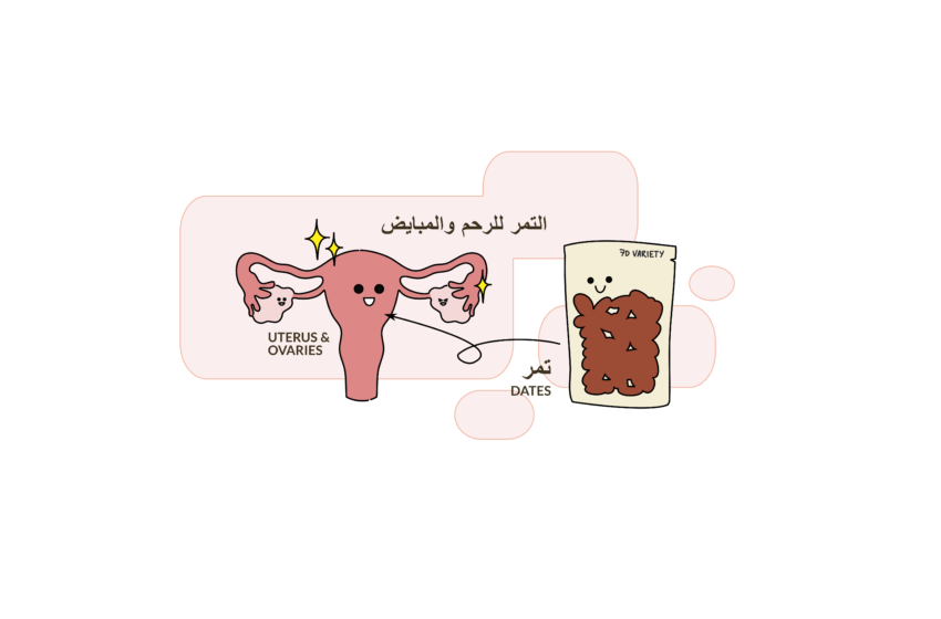 فوائد التمر للرحم والمبايض