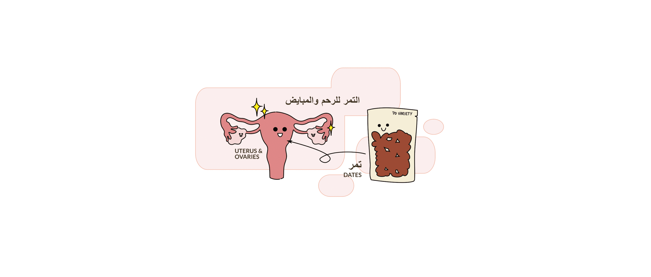 فوائد التمر للرحم والمبايض