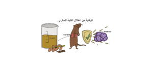 اعتلال الكلية السكري